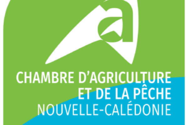 Logo CAP NC
